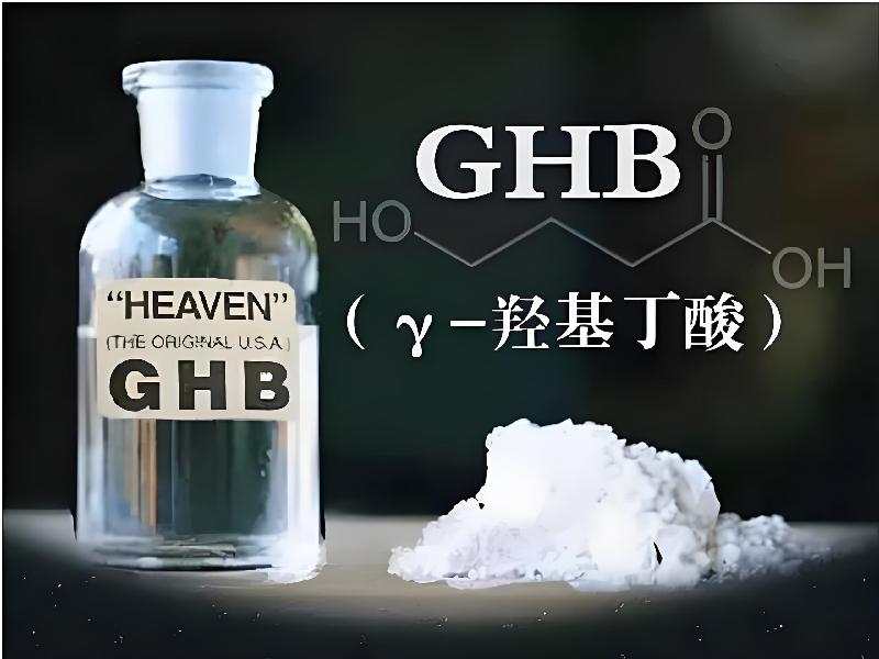 催药迷用1569-QHvs型号